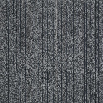 Philadelphia Commercial Immerse Focus Carpet Tile
