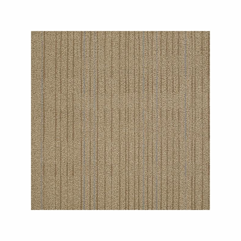 Philadelphia Commercial Immerse Intensify Carpet Tile