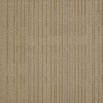 Philadelphia Commercial Immerse Intensify Carpet Tile