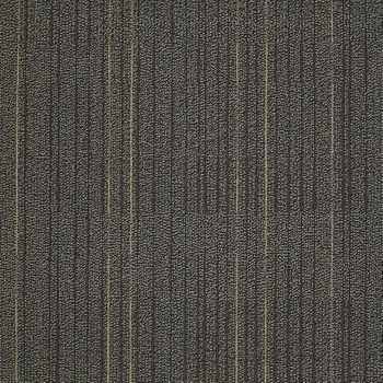 Philadelphia Commercial Immerse Study Carpet Tile