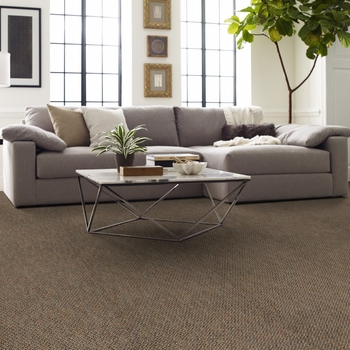 Philadelphia Commercial Zing Tile