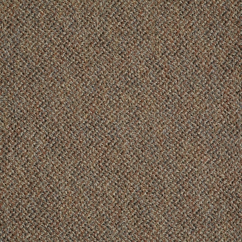 Philadelphia Commercial Zing Tile Blissful