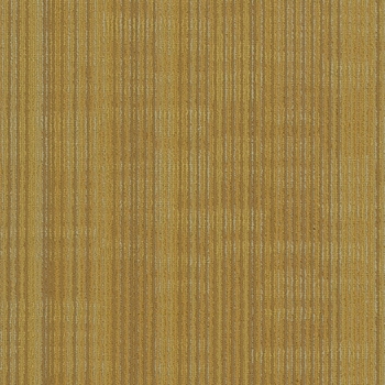 Philadelphia Encode Vector