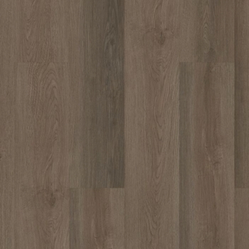 Philadelphia Indwell 8 Seneca Oak