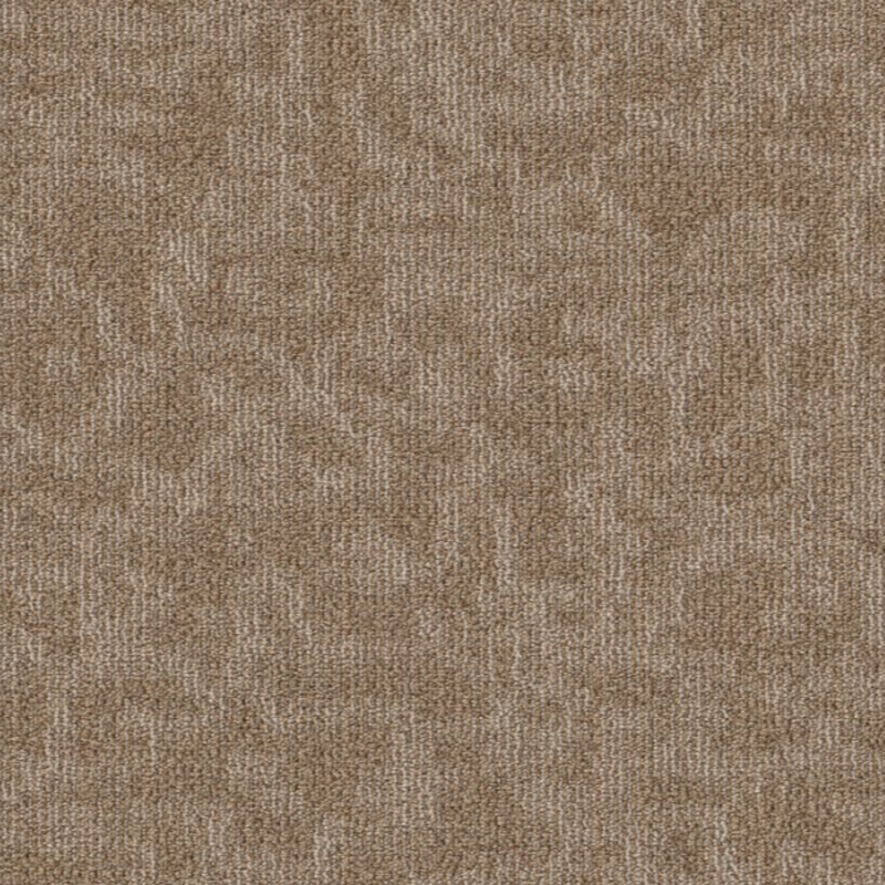 Philadelphia Mindful Movement Windsor Tan