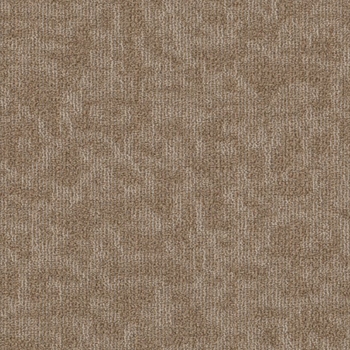Philadelphia Mindful Movement Windsor Tan