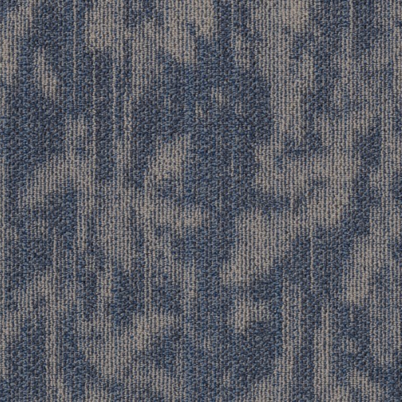 Philadelphia Modern Heirloom Larkspur