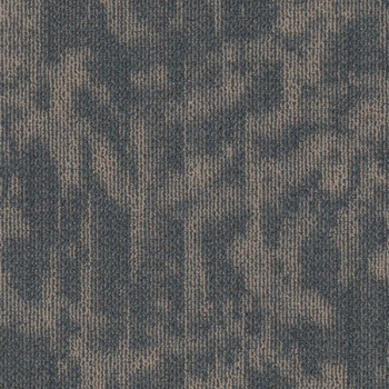 Philadelphia Modern Heirloom Peacock
