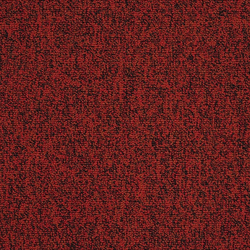 Philadelphia Multiplicity Fortune 24 x 24