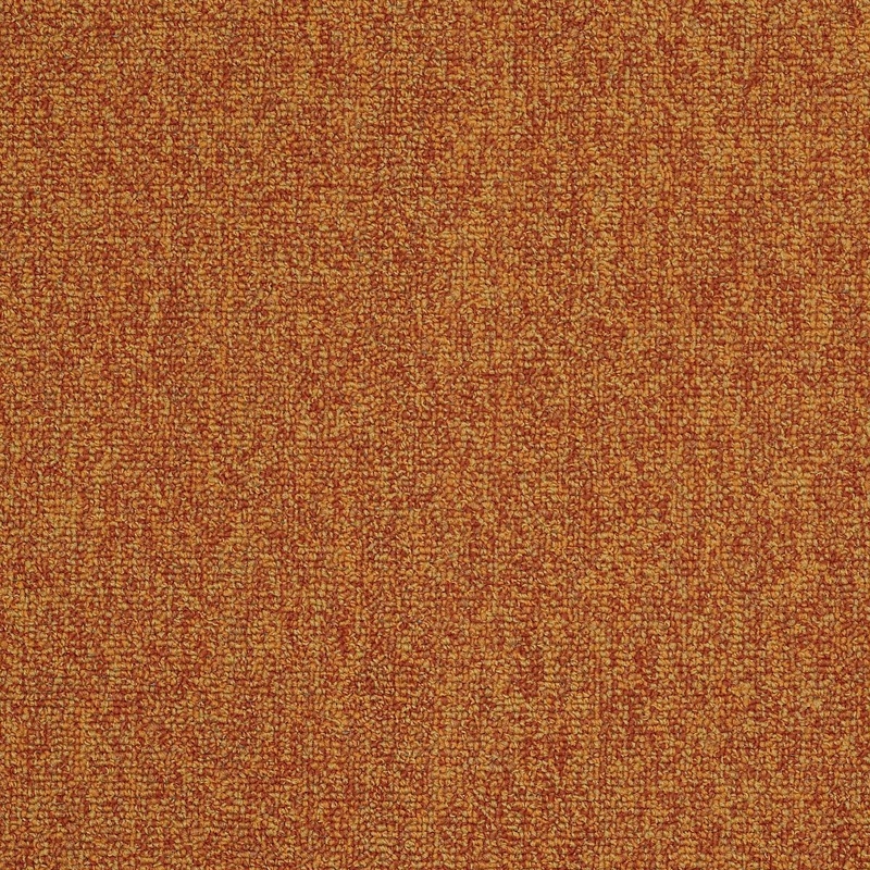 Philadelphia Multiplicity Mass 18 x 36