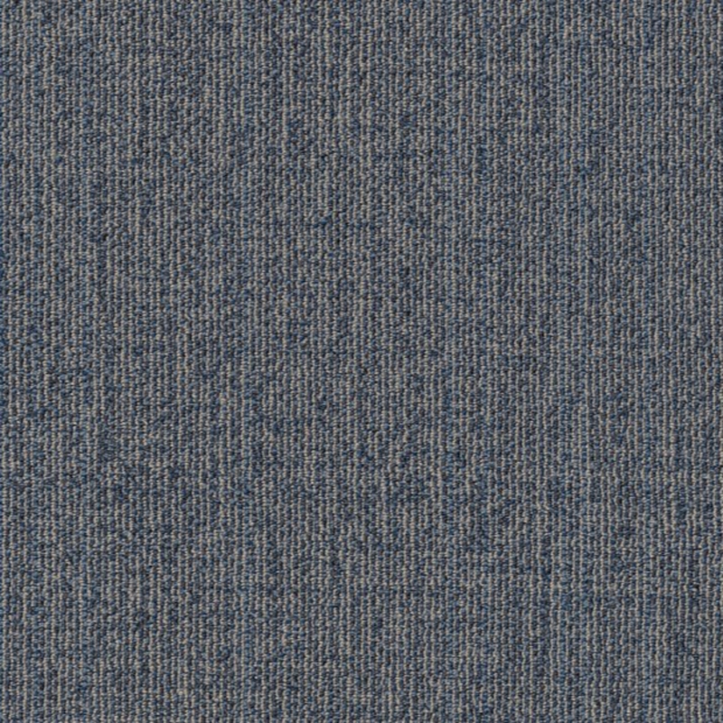 Philadelphia Muted Rhythm Larkspur