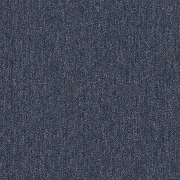 Philadelphia Profusion Multitude