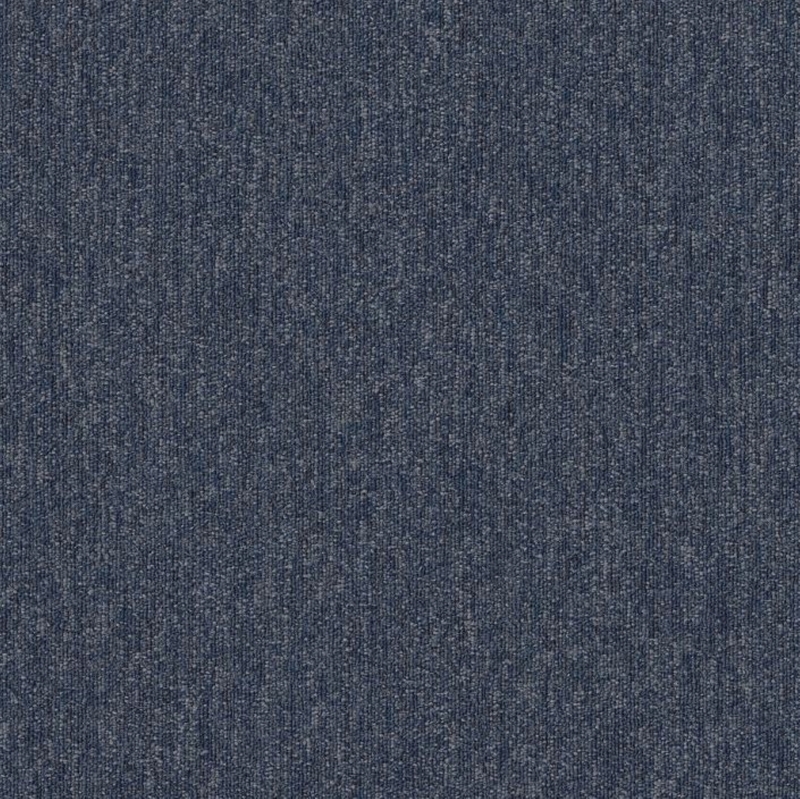 Philadelphia Profusion Multitude