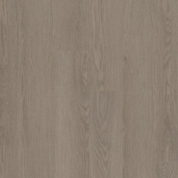 Philadelphia Willow Oak 20 mil Dovetail Oak