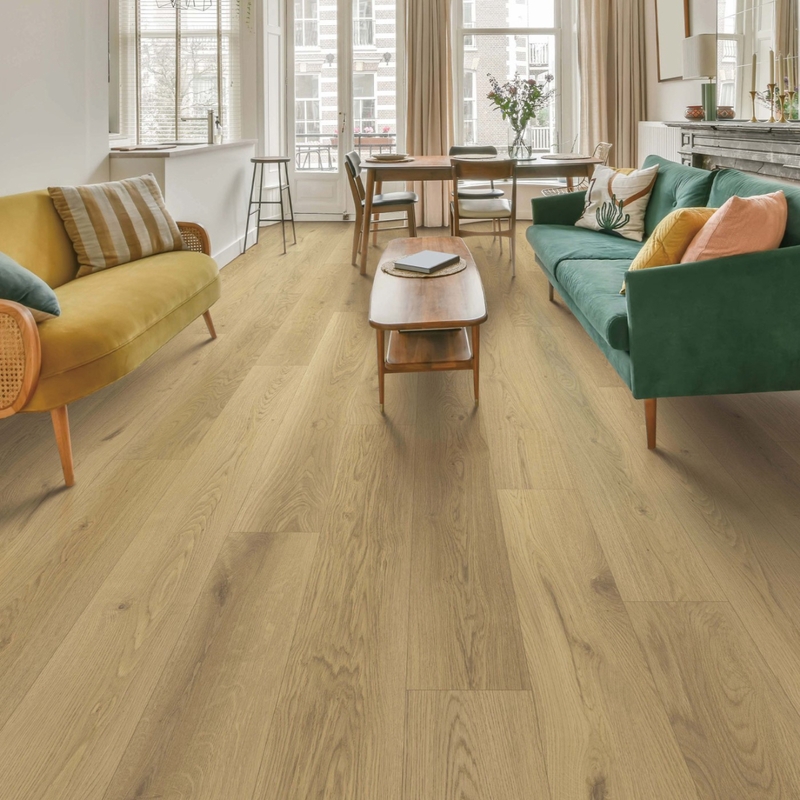 Provenza First Impressions Best Choice