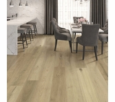 Provenza First Impressions Pop Art