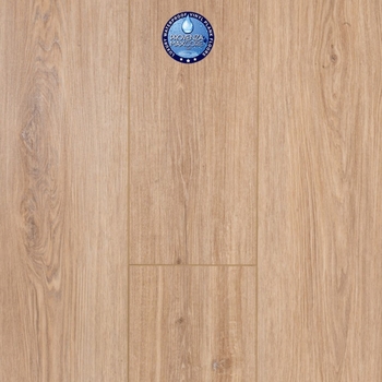 Provenza Moda Living First Glance