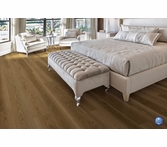 Provenza New Wave Night Owl