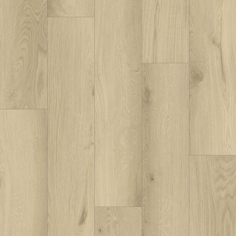Provenza New Wave Rare Earth