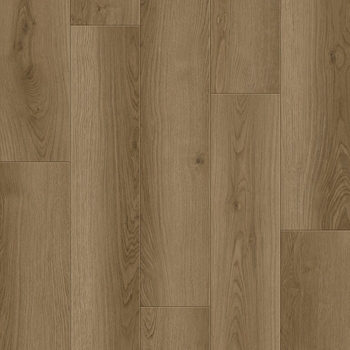 Provenza New Wave Timber Wolf