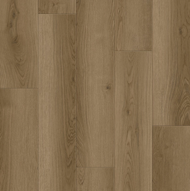 Provenza New Wave Timber Wolf