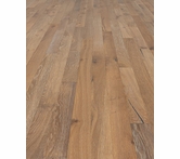 Provenza Studio Moderno Cavalli