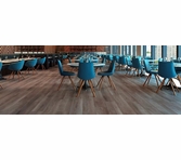 Republic Floor Glacier Point Sydney Cedar