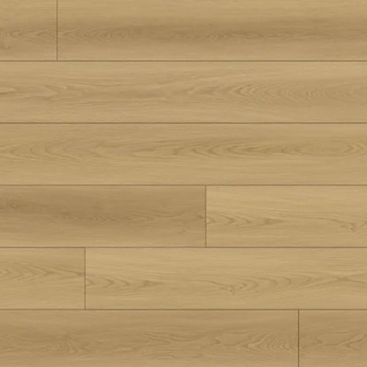 Save Now! Republic Floor North Forest Desert Sunrise AC4 Laminate