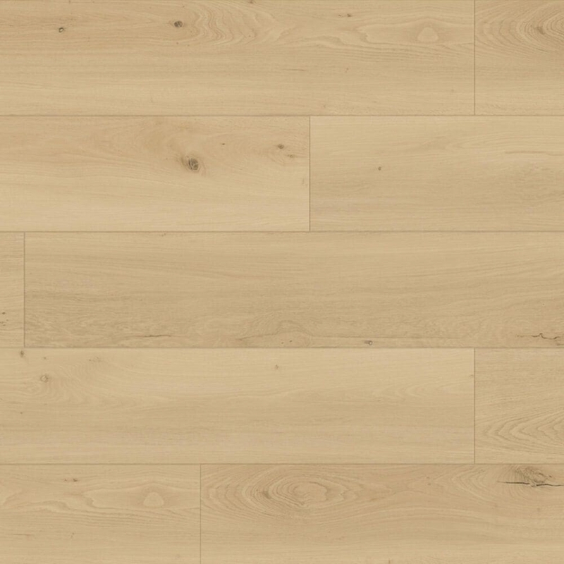 Republic Floor North Water New Caledonia