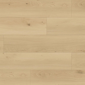 Republic Floor North Water New Caledonia