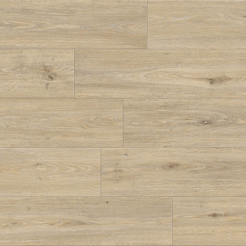 Responsive Alluring Cedar Falls