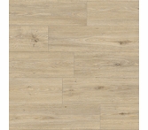 Responsive Alluring Cedar Falls