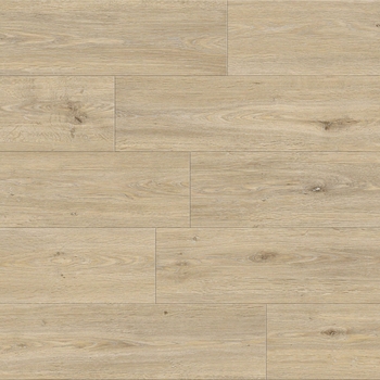 Responsive Alluring Cedar Falls
