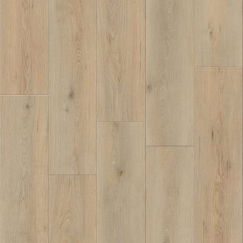 Responsive Prestige Hampton