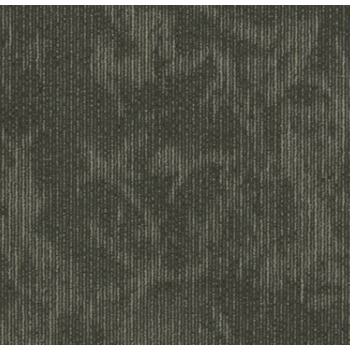 Shaw 5th Main Esthetic Composition
