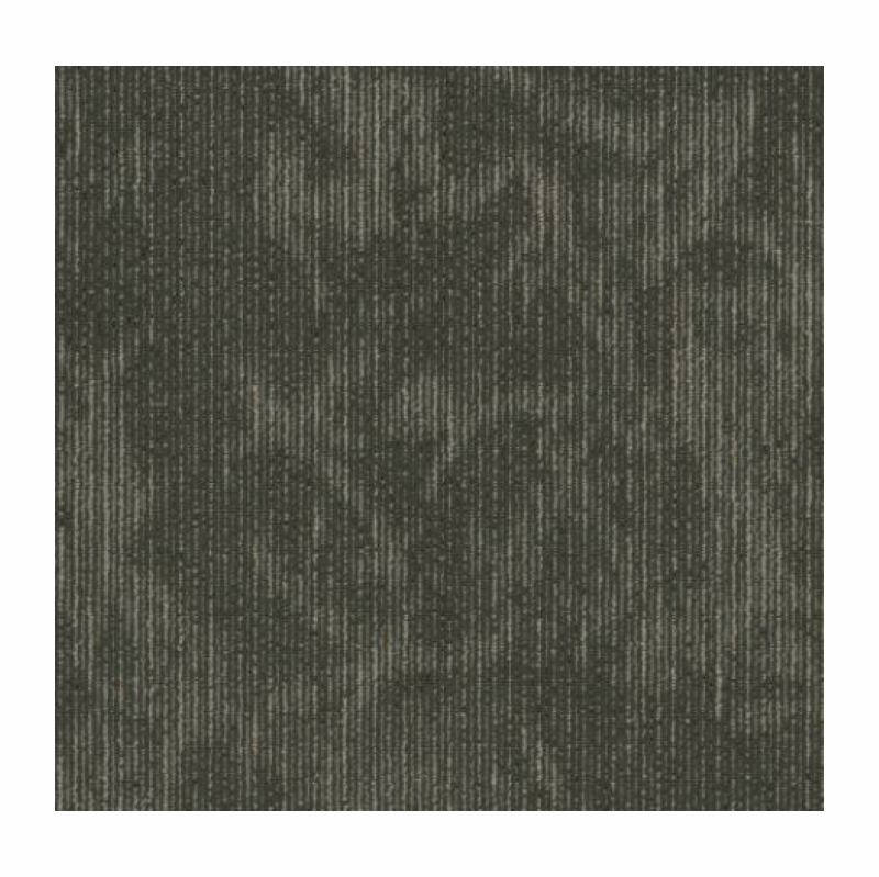 Shaw 5th Main Esthetic Composition