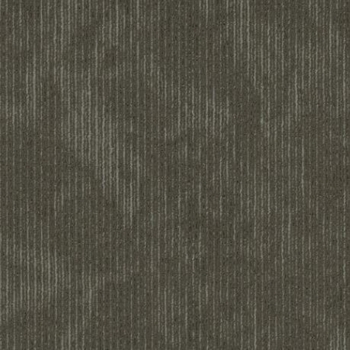 Shaw 5th Main Esthetic Inherent