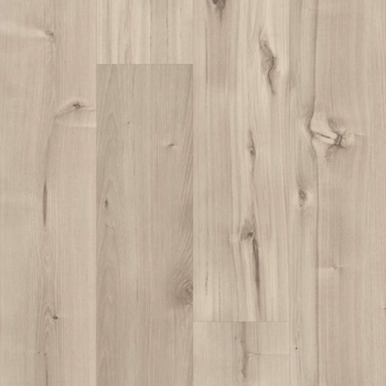 Shaw 5th Main Symbiotic 12 Canvas