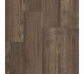 Shaw 5th Main Symbiotic 12 Sweetgum