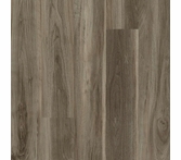 Shaw 5th Main Symbiotic 20 Sparrow