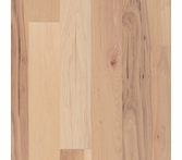 Shaw Americana Hickory Intrinsic