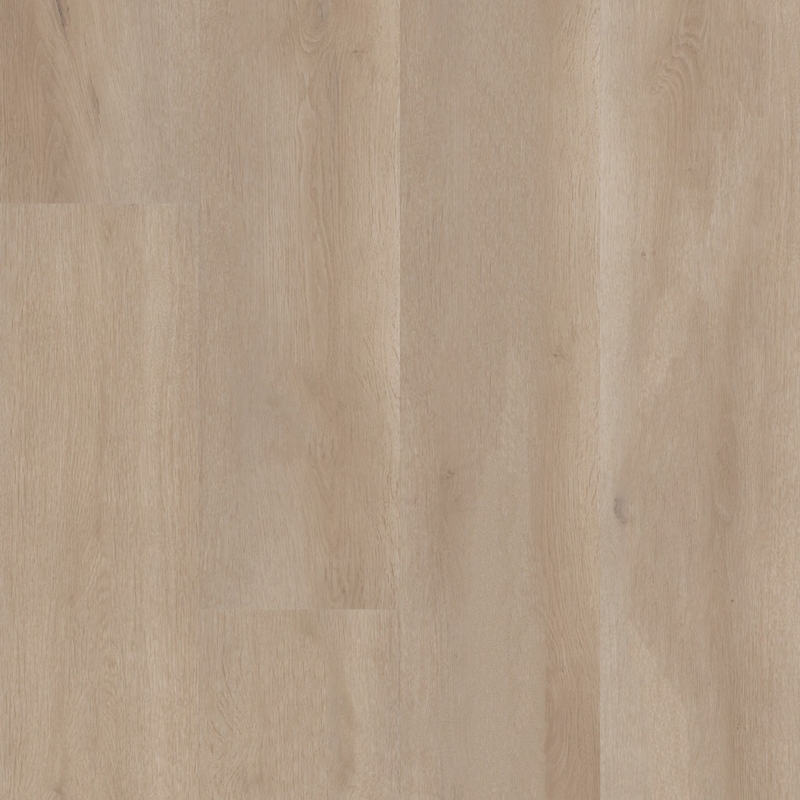 Shaw Aspire Coastal Drift
