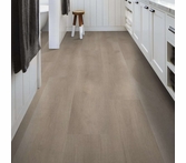 Shaw Aspire Mineral Grey