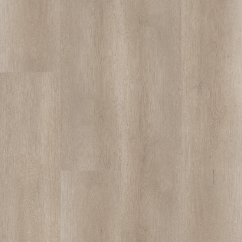 Shaw Aspire Mineral Grey
