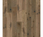 Shaw Castlewood Baroque