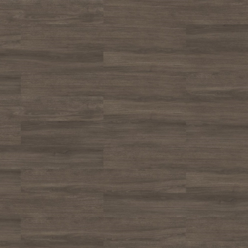 Shaw Contract Abide Anise Oak
