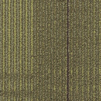 Shaw Contract Diffuse Formations 9 X 36
