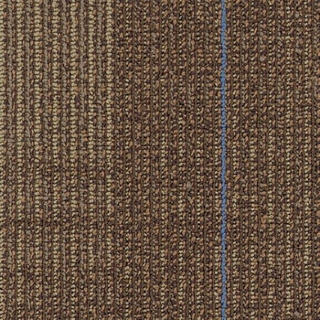 Shaw Contract Diffuse Nomad