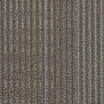 Shaw Contract Disperse Climate 24 x 24