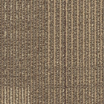 Shaw Contract Disperse Flutter 24 x 24